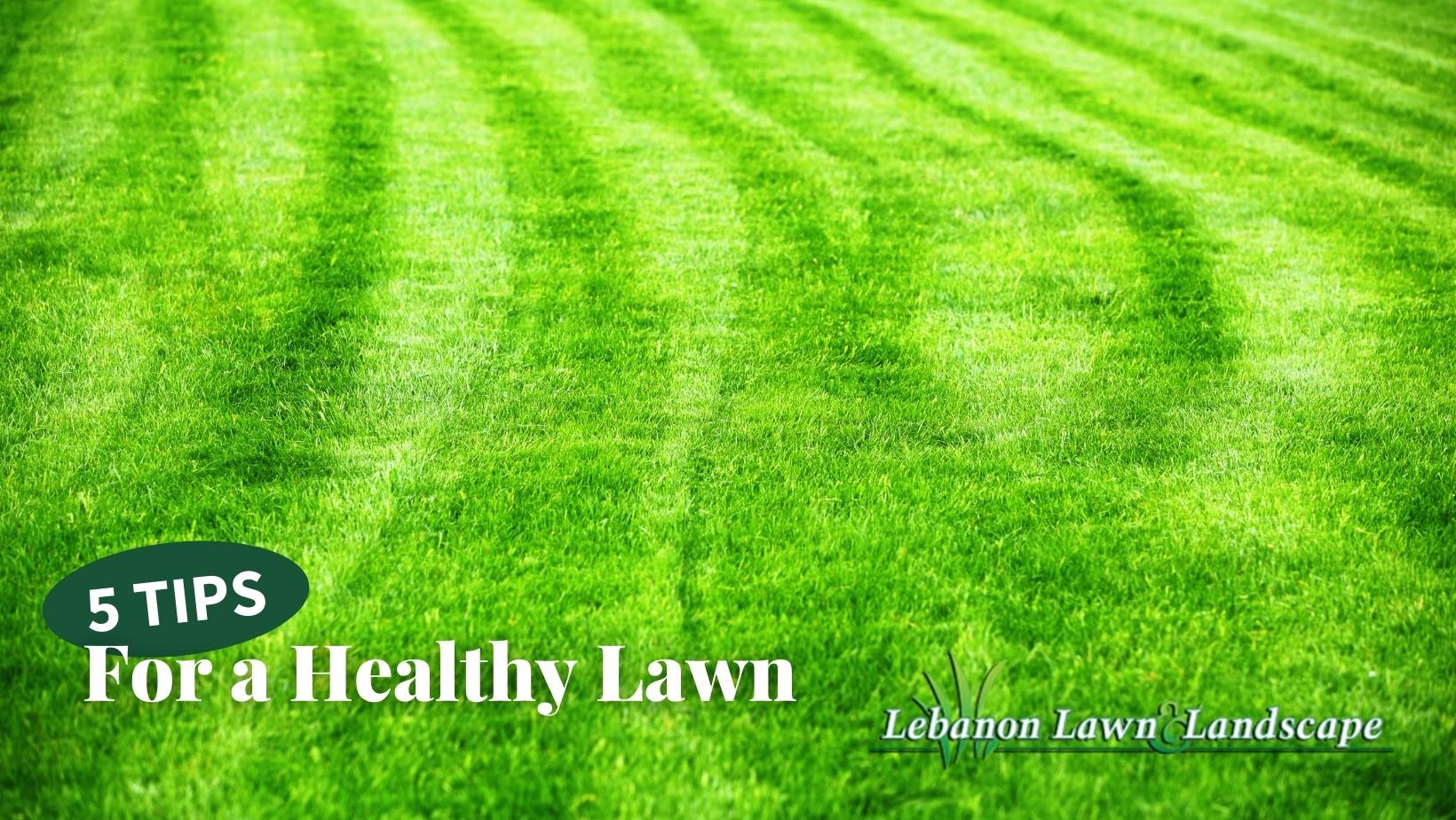 Lawn with mowing lines